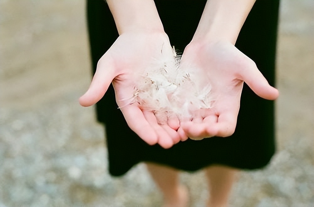 退休之后人就只剩下一件事可做,退休之后越会享受的人越好命
