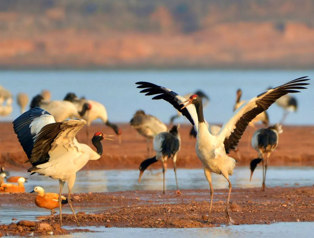 昆明七彩云南怎么样,七彩云南避暑家园