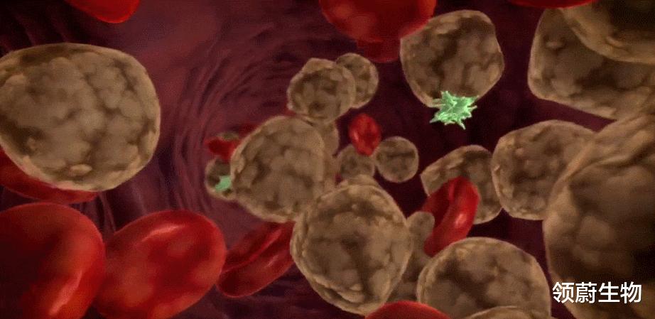 肿瘤与免疫的故事,肿瘤免疫治疗十大案例