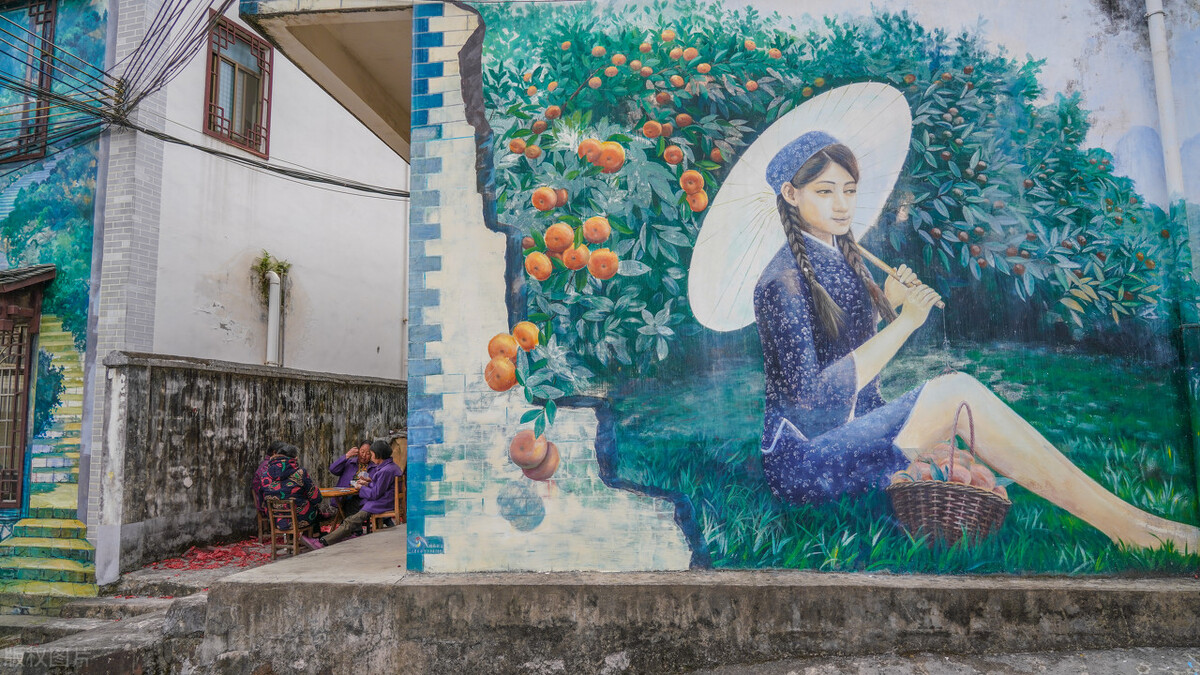 沙糖桔还敢种吗,种沙糖桔技术和视频