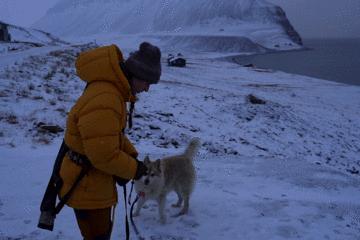 北极圈极夜生活,北极圈的极夜生活