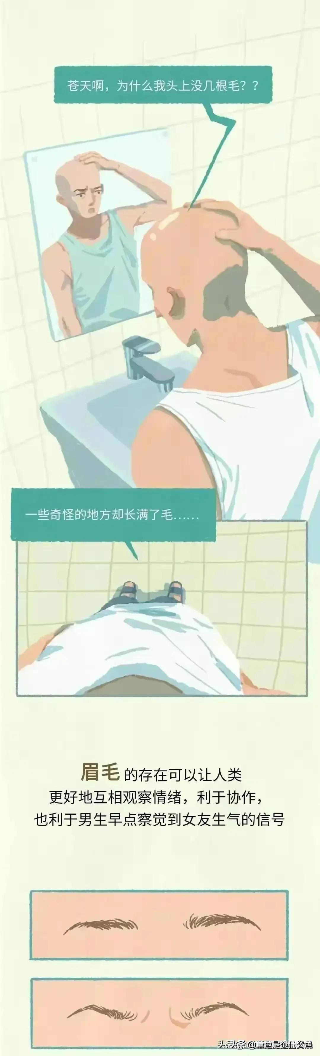 人类的毛发为什么是鳞片状,人类体毛退化原因揭秘