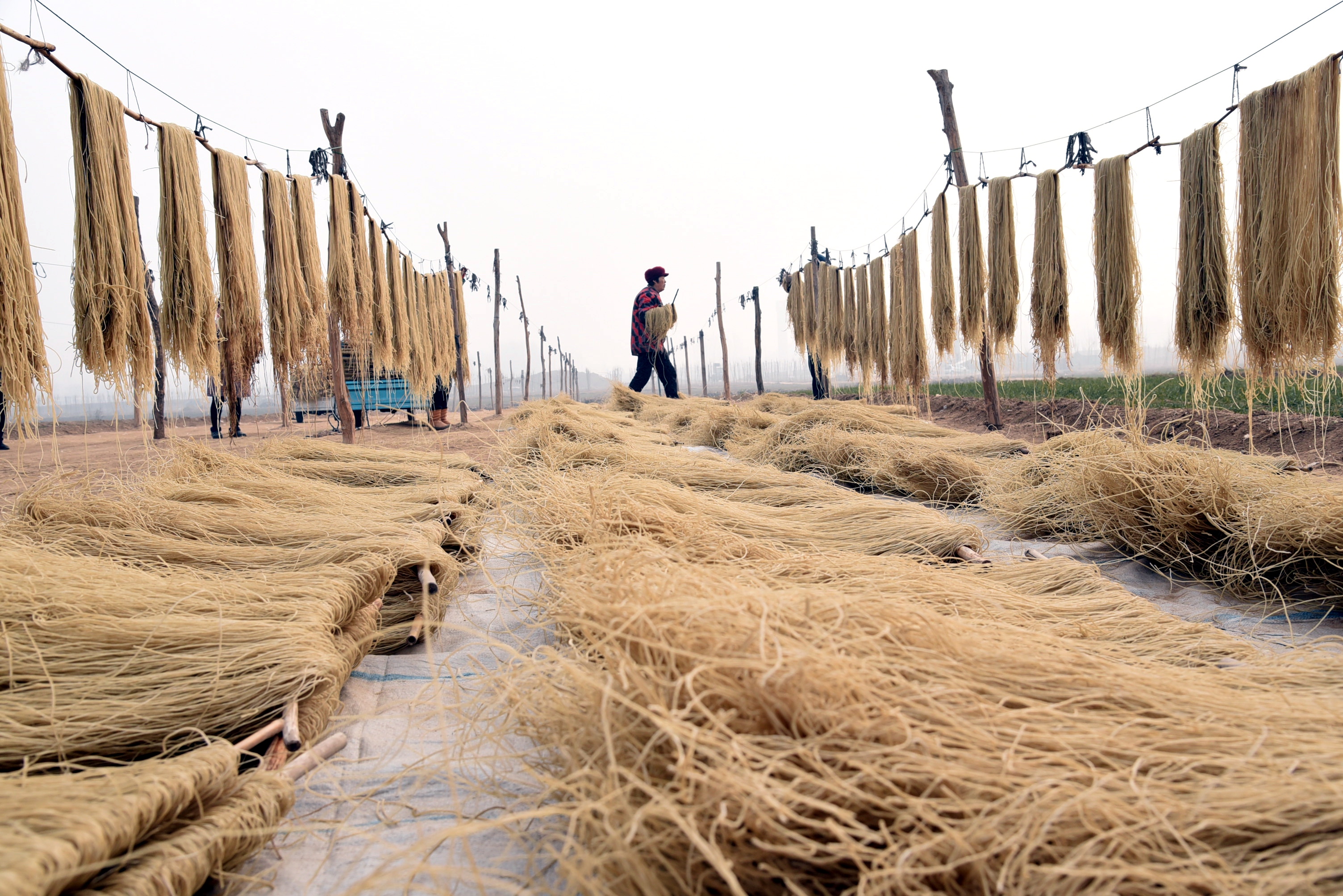 容易致癌的红薯粉条,长期吃粉条会致癌吗