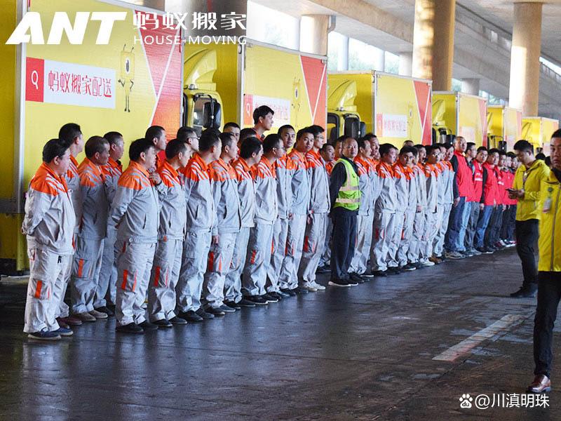 蚂蚁本地搬家公司,蚂蚁搬家是真的搬家吗