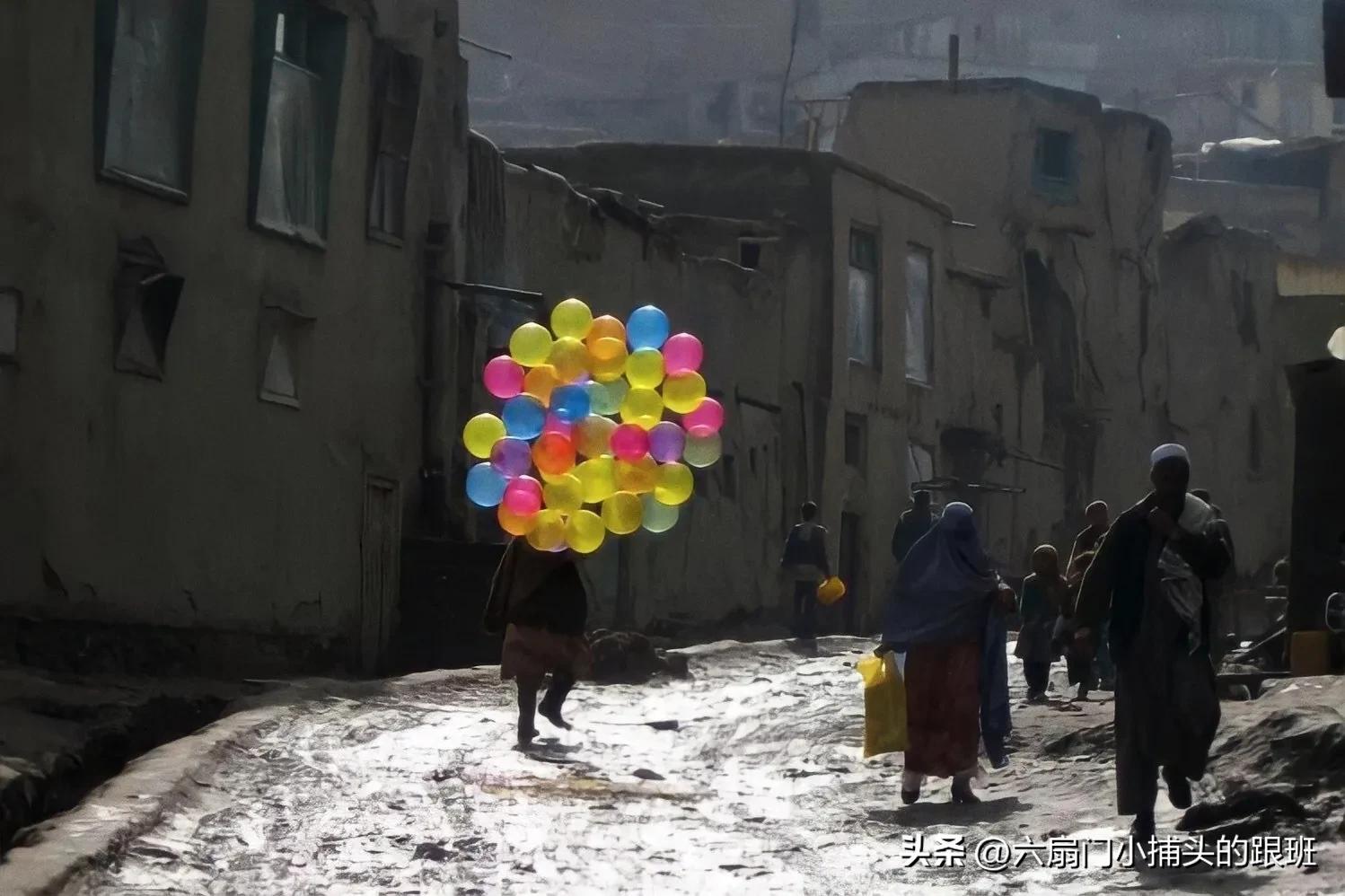 懂懂日记公众号,懂懂日记全集解说