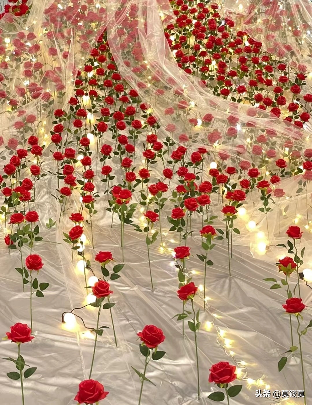 50种常见鲜花的花语大全,各种鲜花的花语和寓意图片欣赏