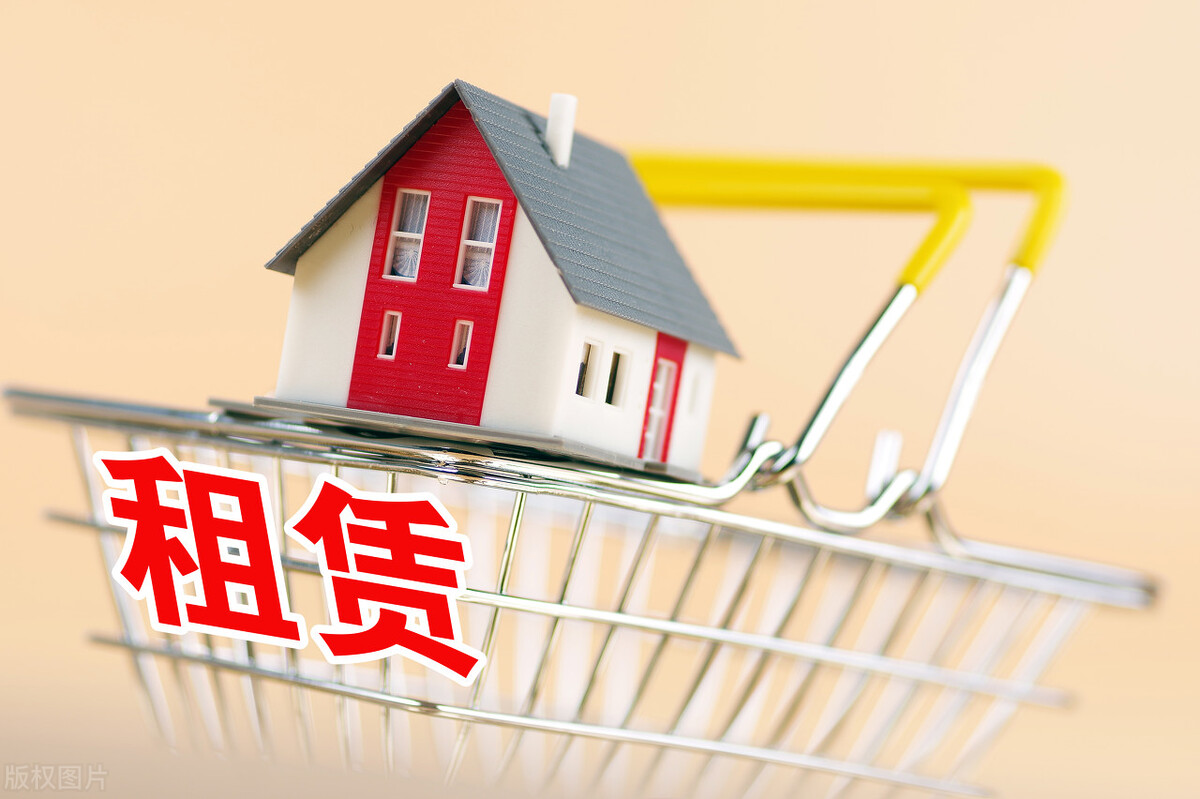 枝星科技发展上海有限公司收入,枝星科技发展上海