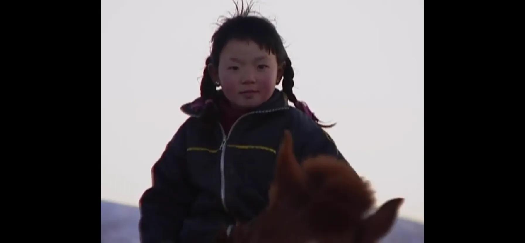 蒙古草原8月天气如何,蒙古草原8月天气如何变化