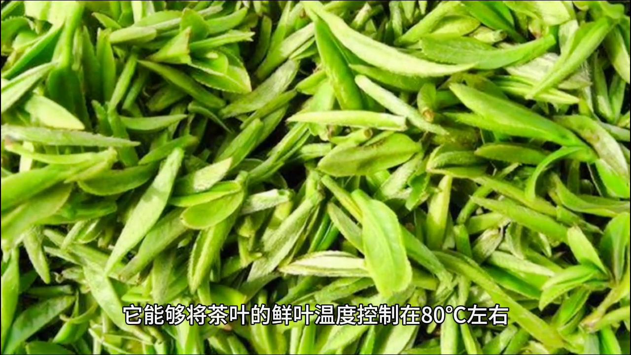 中国茶叶细分之绿茶黄山毛峰,黄山毛峰和崂山绿茶哪个好