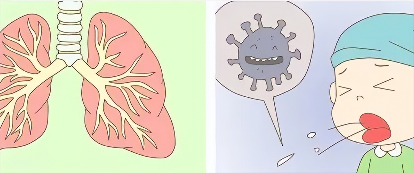 吃东西时不嬉笑!异物进入气管支气管能要命!学会急救心不慌