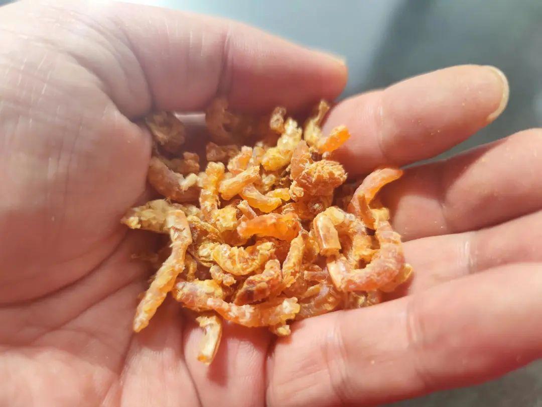 警惕市场上买的这种海鲜危害极大,海鲜黑幕