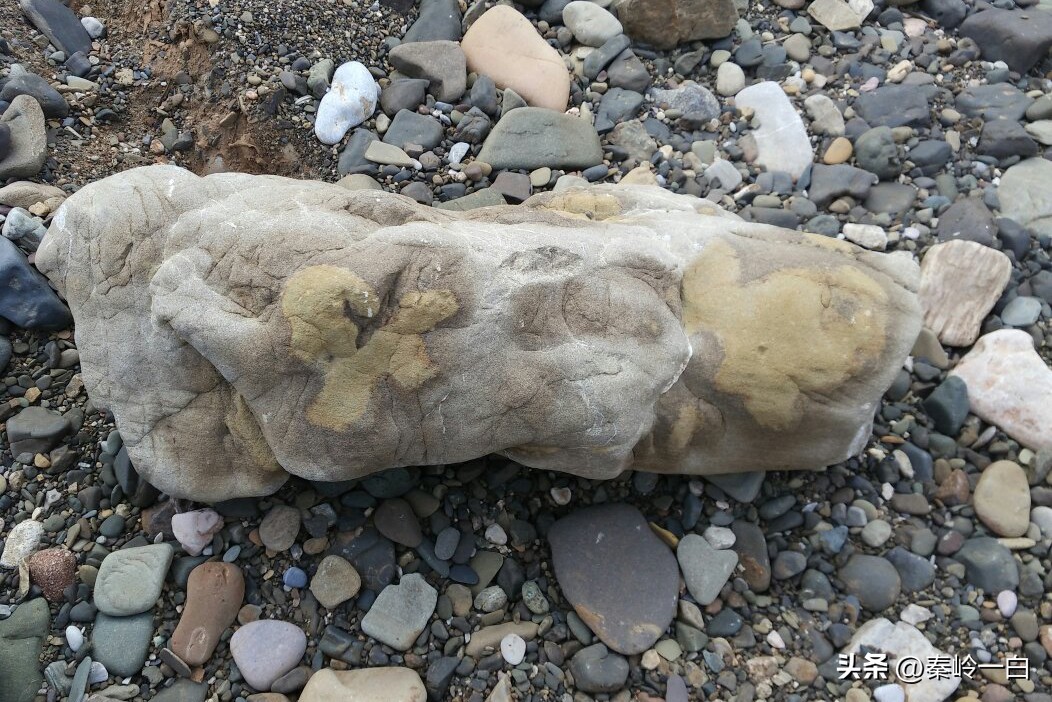 隋朝麦铁杖真实照片,隋朝麦铁杖真实身份