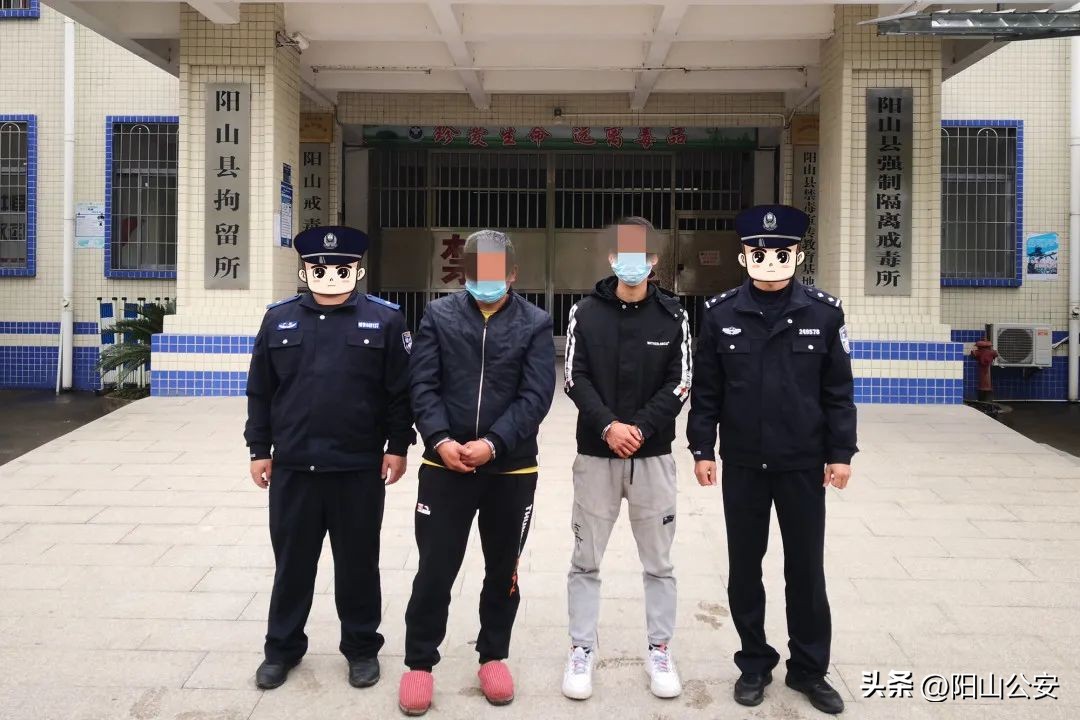 同村生意人，相煎何太急？——阳山这三兄弟竟结伙做这种事……