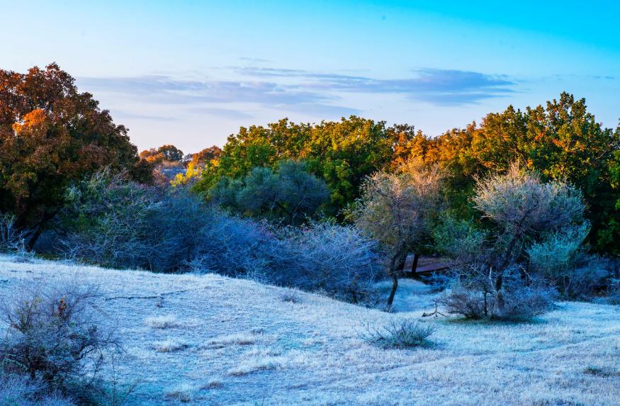 描写霜的诗句古诗名句,描写寒霜的诗句古诗大全