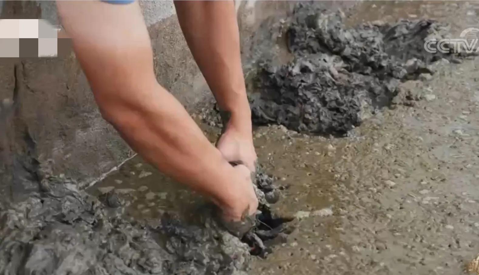 福建男子承包200亩滩涂，如今滩涂变成聚宝盆，年销售额2500多万