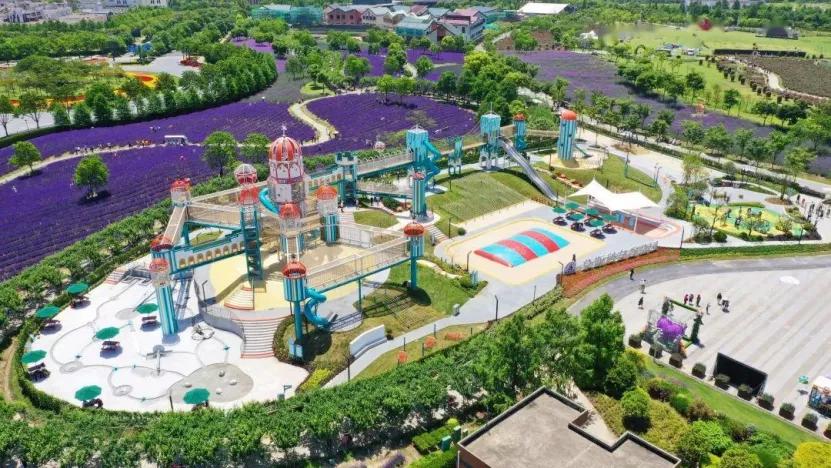 亲子玩的地方推荐上海浦东新区,浦东适合亲子游的地方推荐