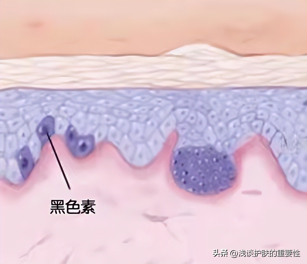 工作再忙也要给皮肤保养一下,工作需求天天熬夜怎么把皮肤养好