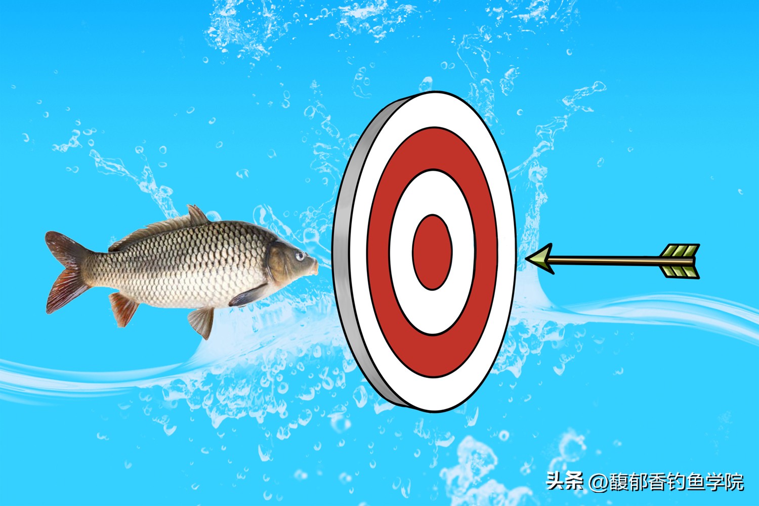 哪种小药诱鱼快？如何使用诱鱼小药？诱鱼小药的分类和使用技巧