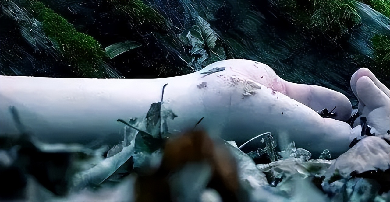 2名女子裸死菜地，*体下**塞满荒草，警方靠米糠袋抓获凶手