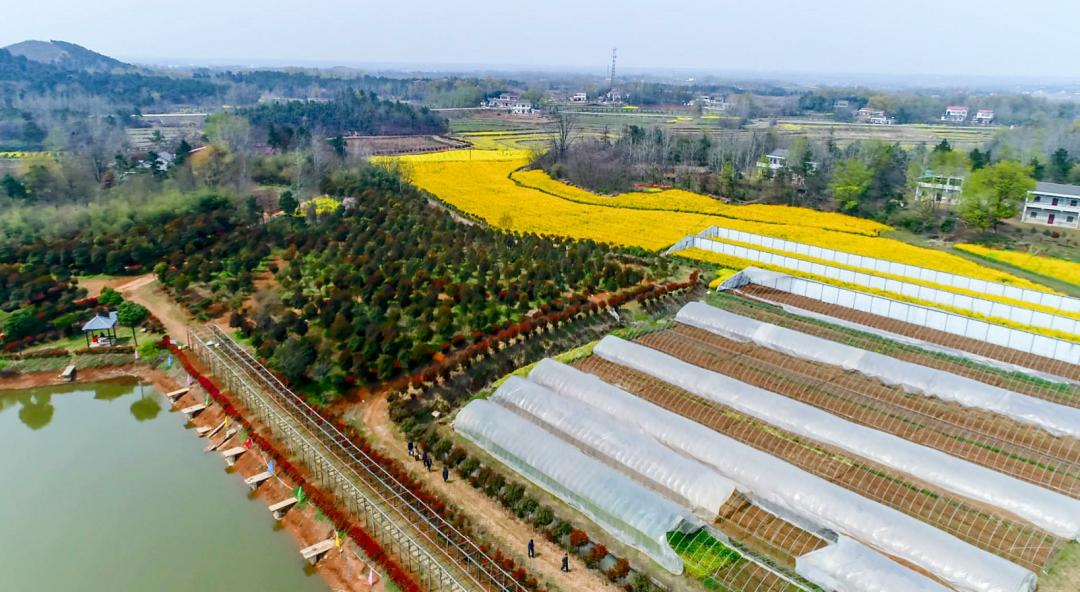 北纬三十度名茶名酒,北纬30度十大名茶