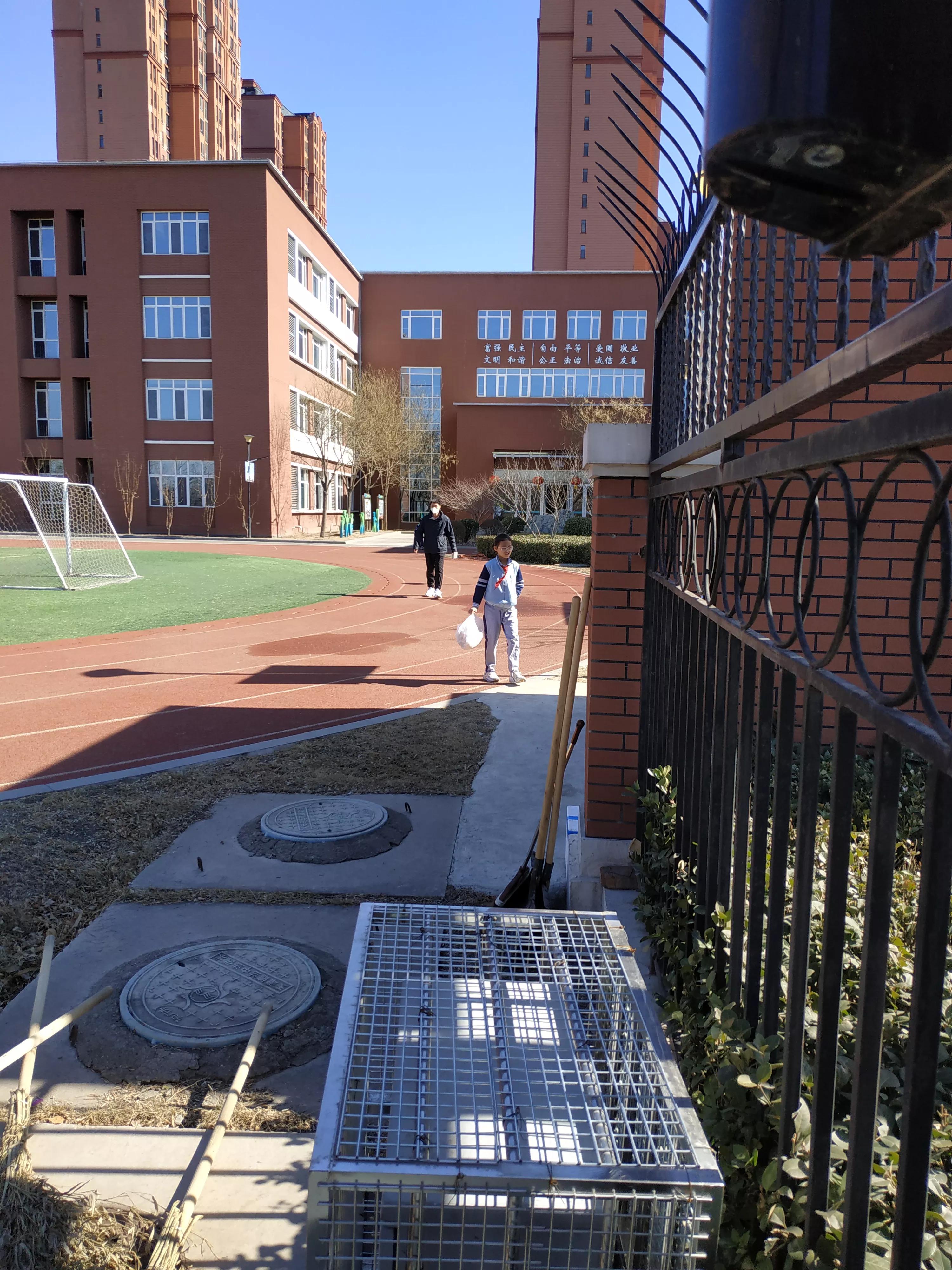 北塘古镇为什么没发展起来,北塘发展