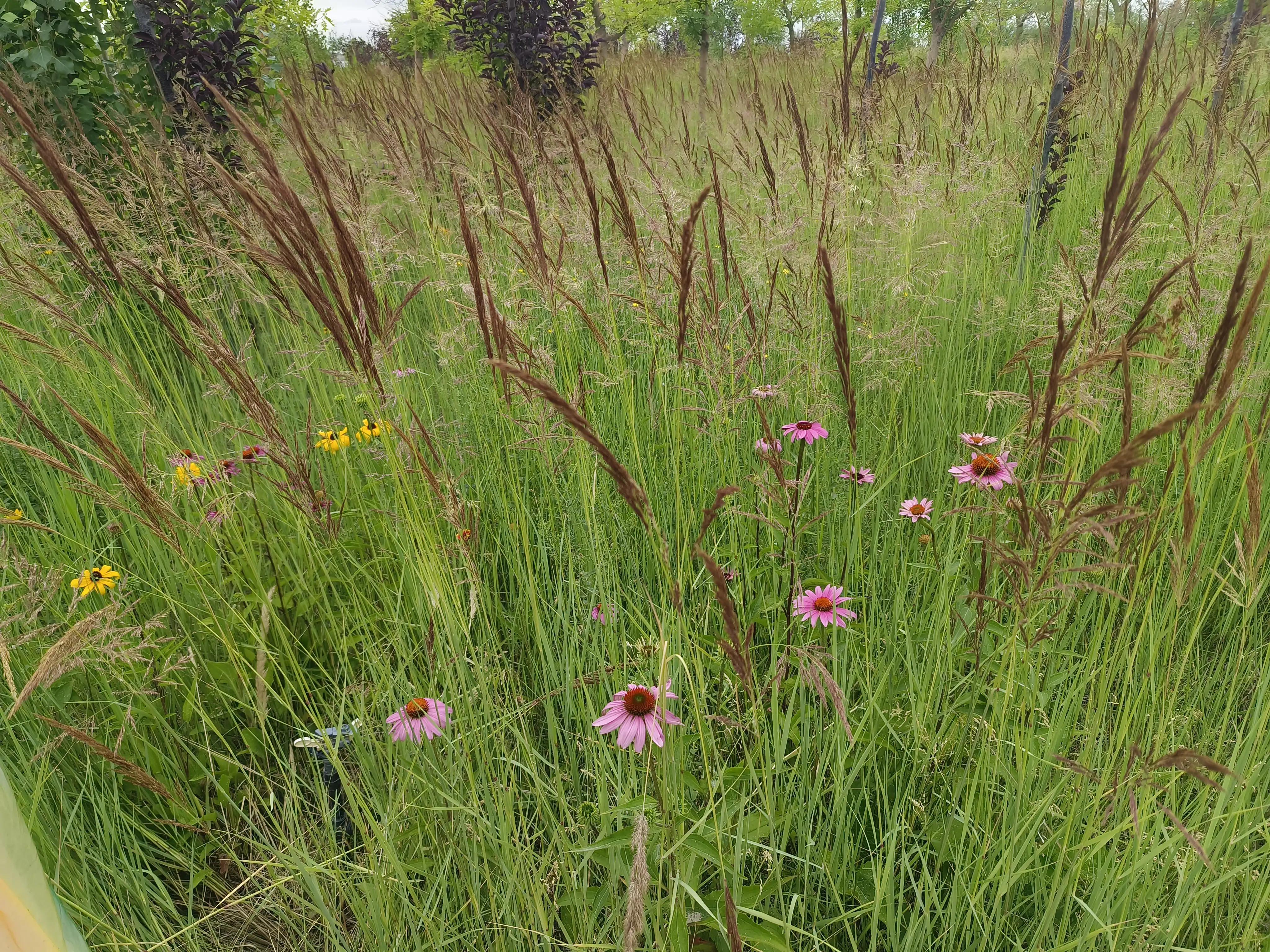 去哪里旅游最好呢,去哪里旅游比较好