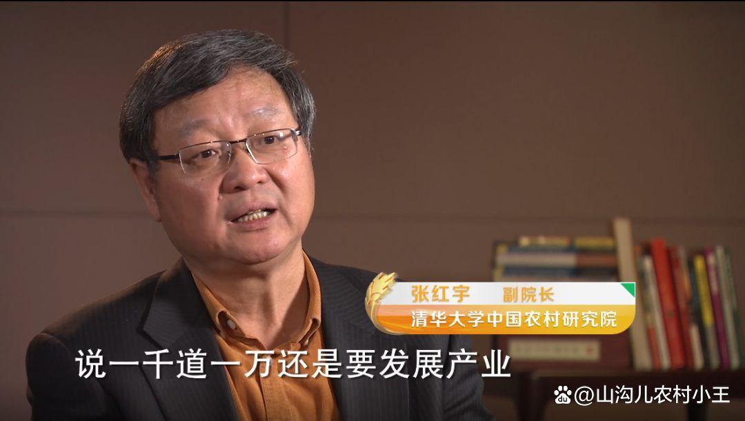 不懂农村的专家对农村的建议,专家给农民的十大建议