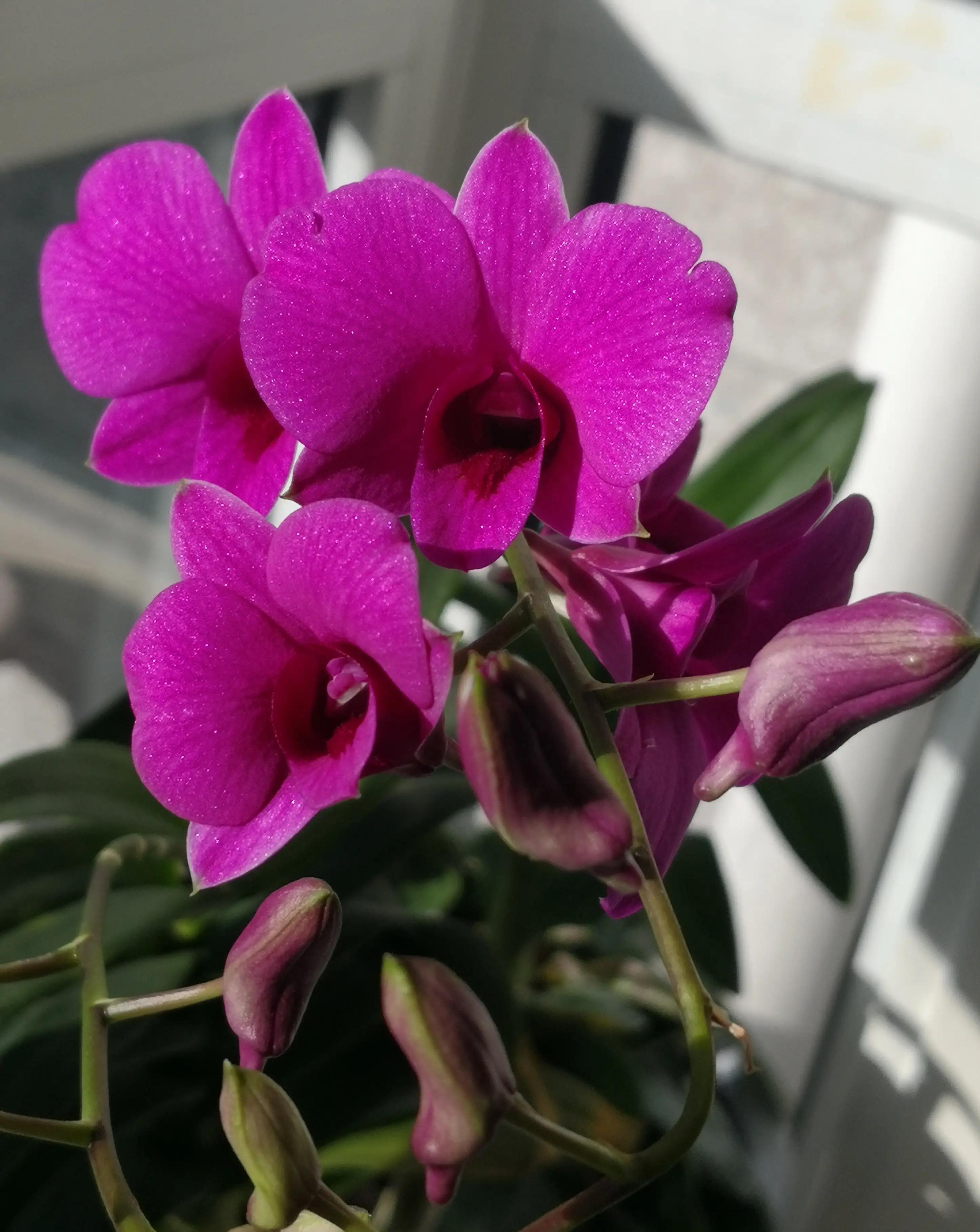 白山黑水简笔画,白山黑水画