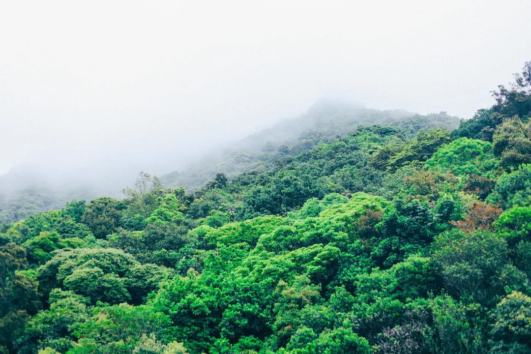 深圳最值得去的十个地方,深圳吃货必去的地方