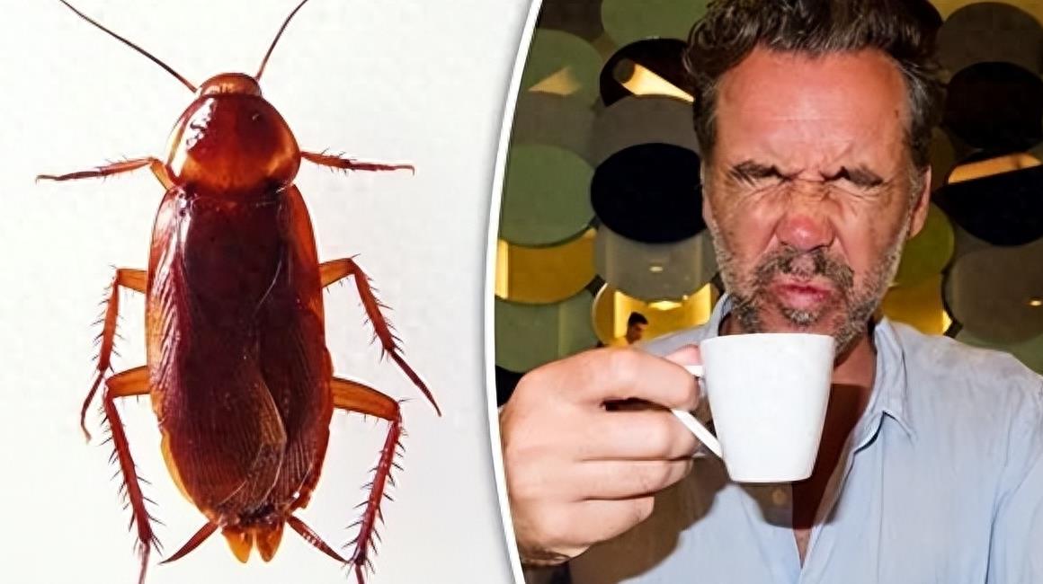 一堆罕见事实：英国“胸袋”、阴道“牙齿”传闻