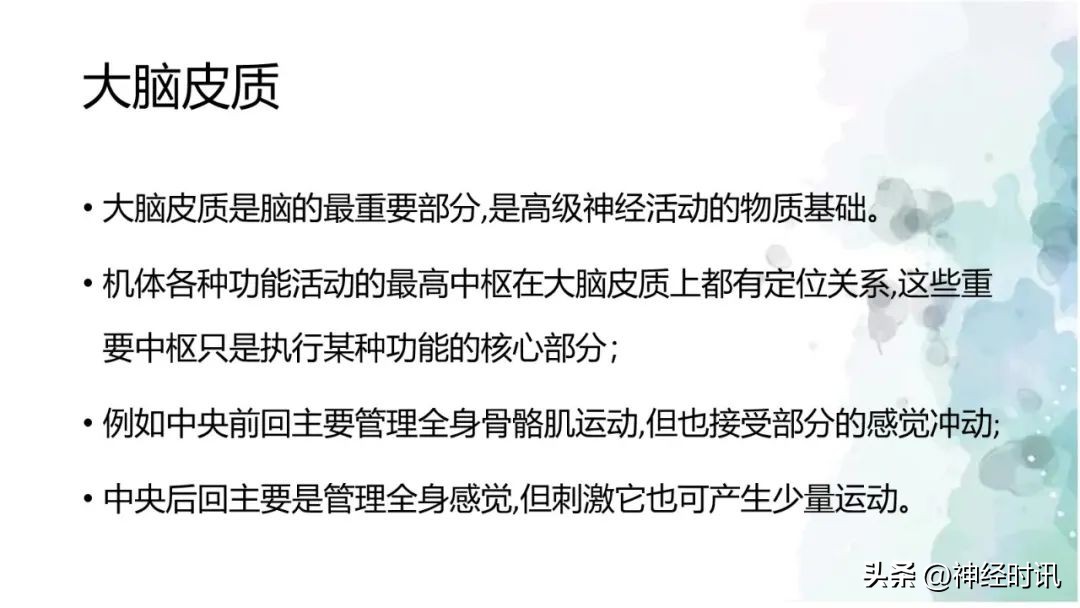 大脑皮质机能定位图,大脑皮质的功能定位图