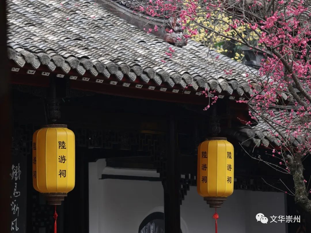 领奖啦！投稿的朋友们来找自己的名字哦！