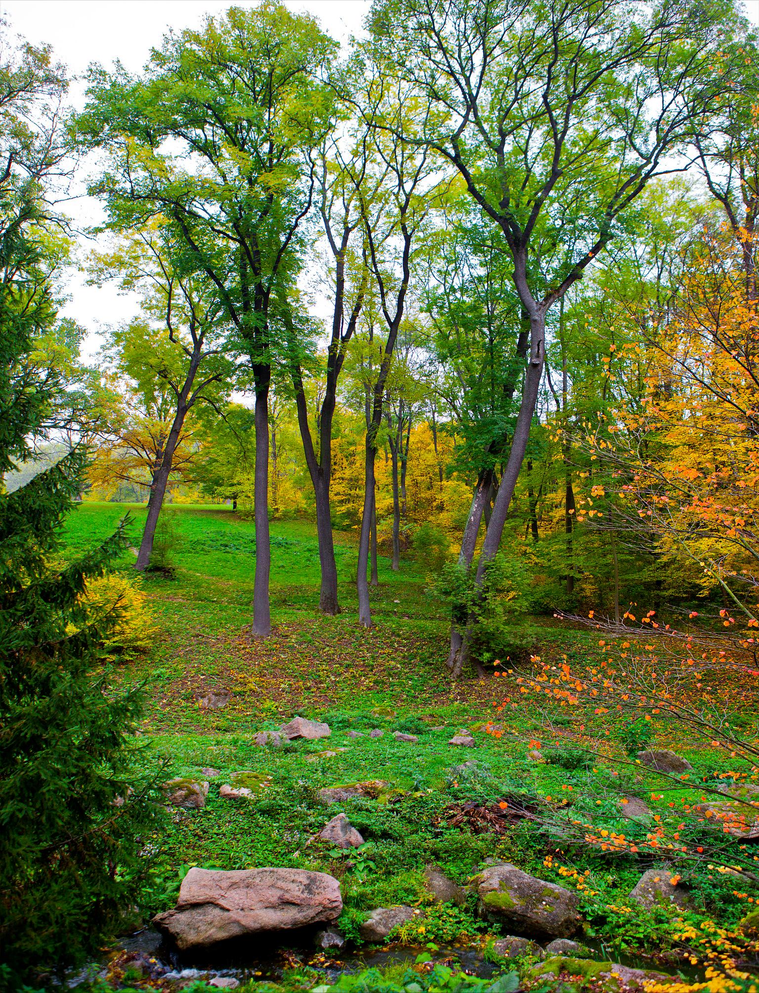 劳埃沙利文被雷击,沙利文避雷针