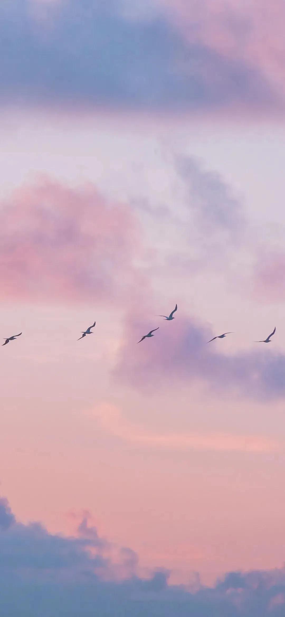 唯美壁纸图集可保存伤感,念念不忘的高清壁纸