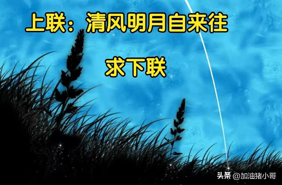 “是小蛇出了轨，还是青蛙劈了腿？”这是现实版的美杜莎？哈哈