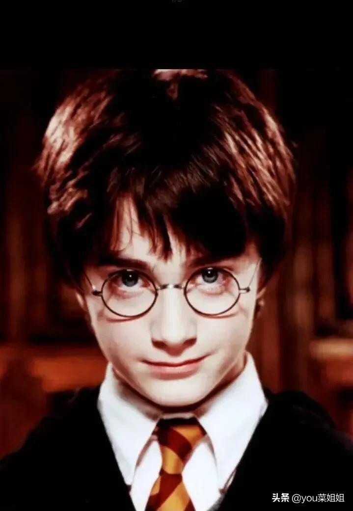 哈利波特为什么不治疗斯内普,哈利波特为什么不救斯内普