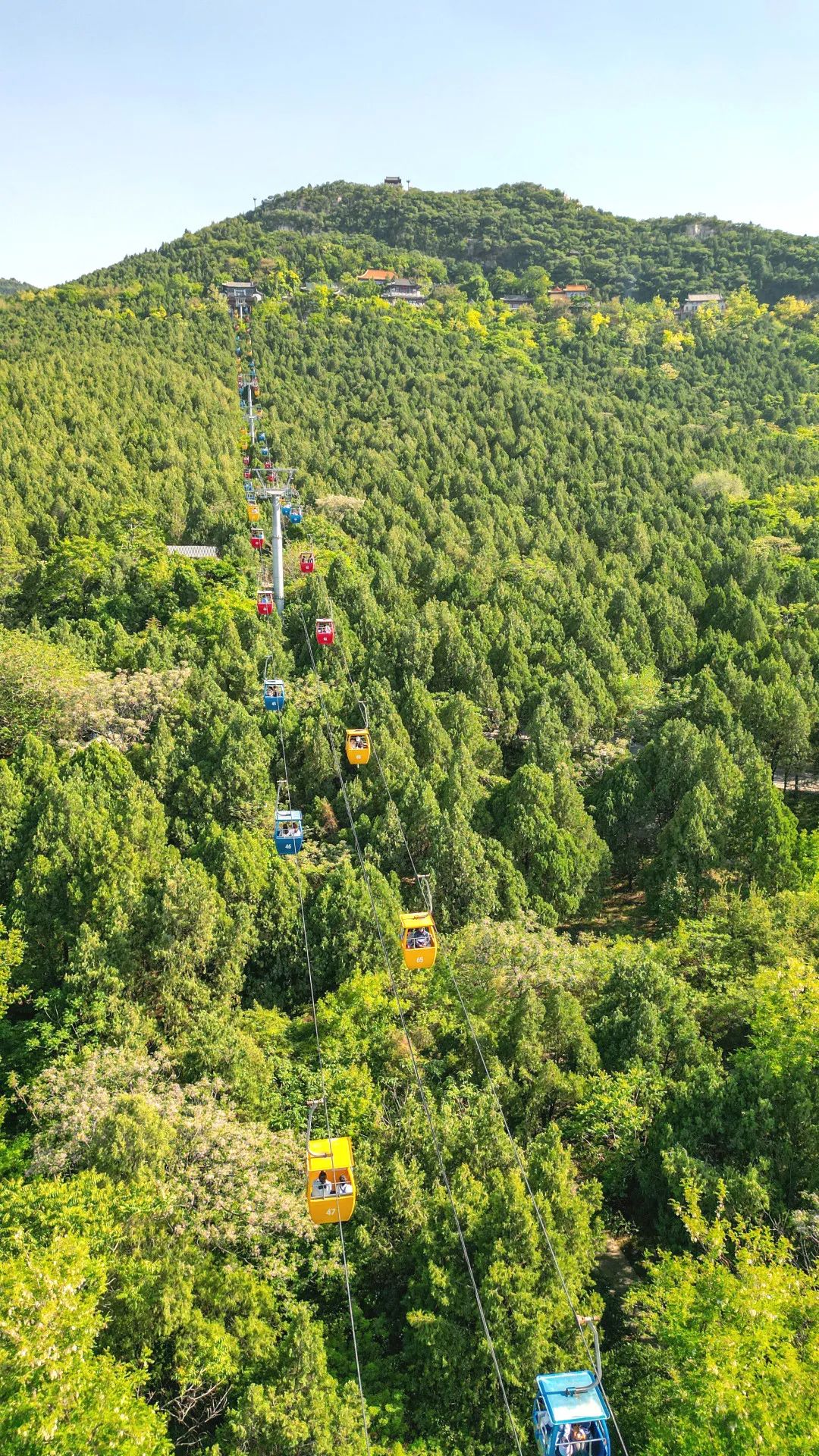 夜爬济南千佛山看日出,夜爬千佛山攻略