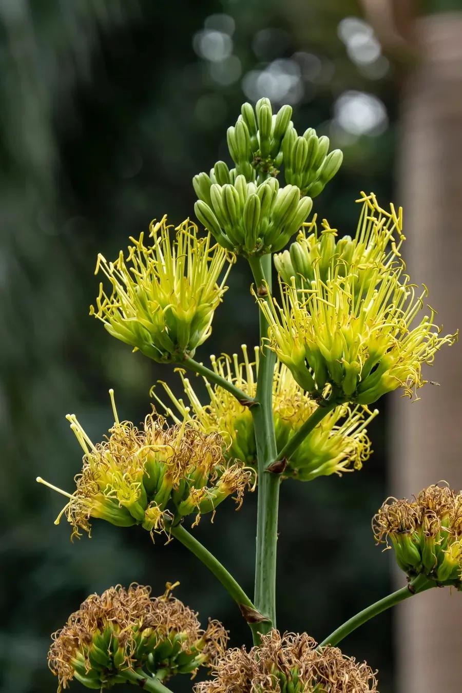 国色天香秀色可餐的美女 (秀色可餐与国色天香)
