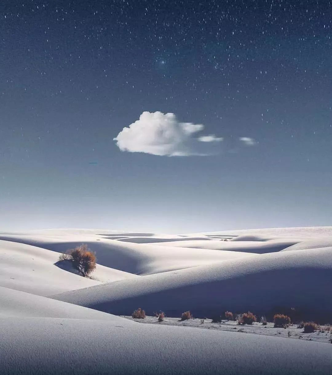 学习优秀摄影作品,摄影教学作品欣赏