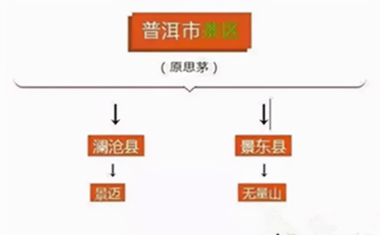 某音某宝花了50000买茶叶后，我总结的普洱茶选购（避坑）指南