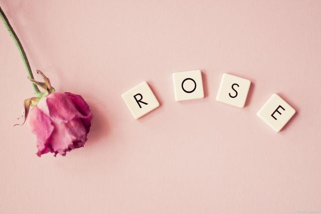 英语学习中不重视拼写的原因,英语学习误区有哪些