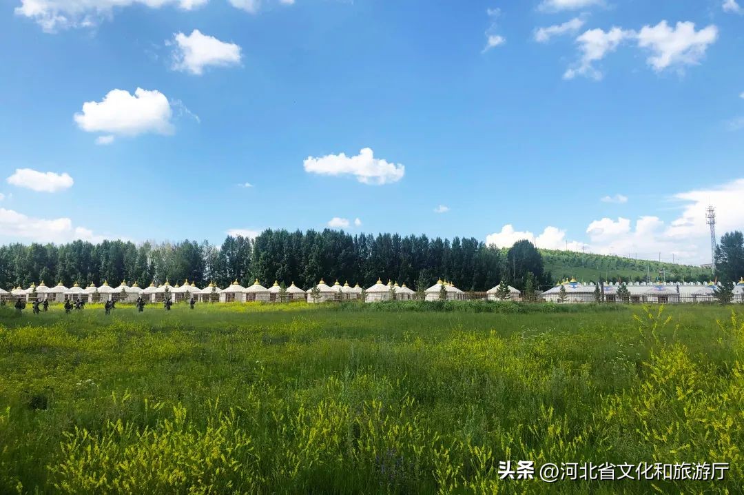 向着坝上草原出发,向草原出发的视频