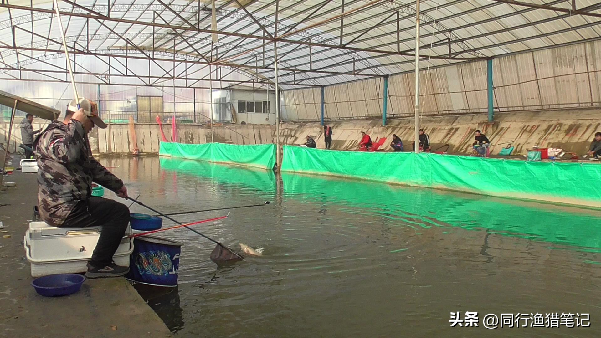 经常钓鱼的人容易遇到什么人,钓鱼人有时间就钓鱼有钱就买渔具