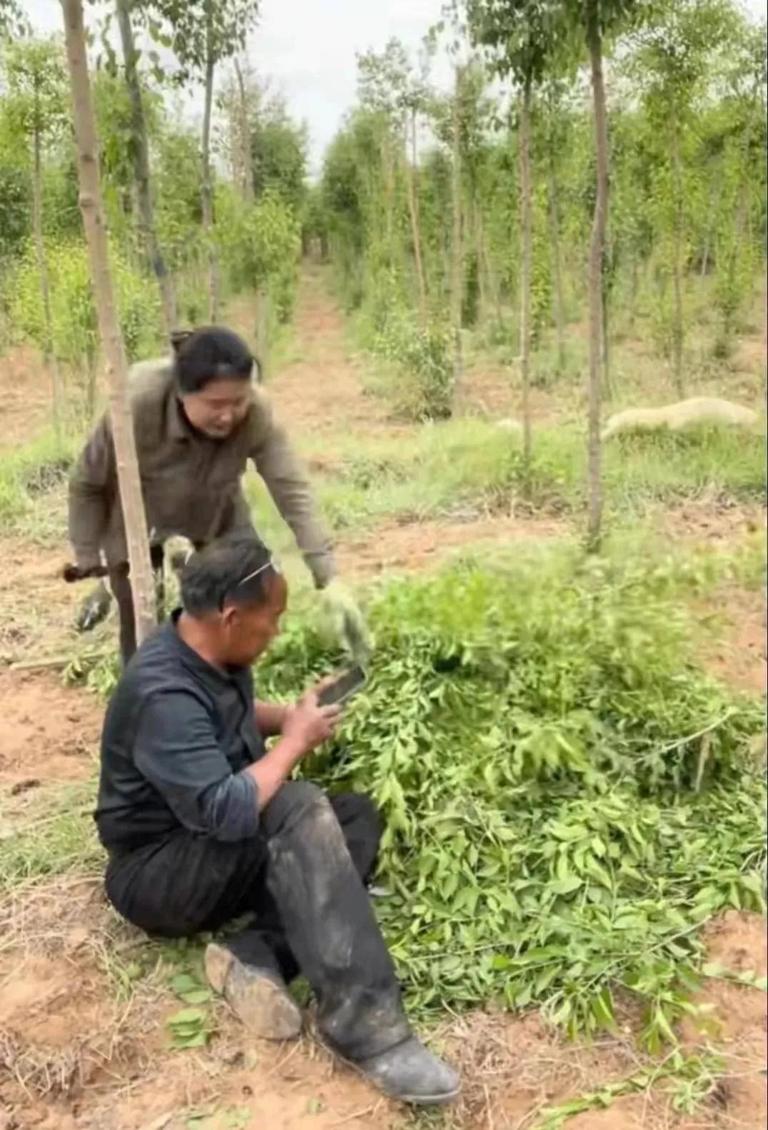 荒地承包价格多少钱一亩,农村荒地承包一年多少钱一亩