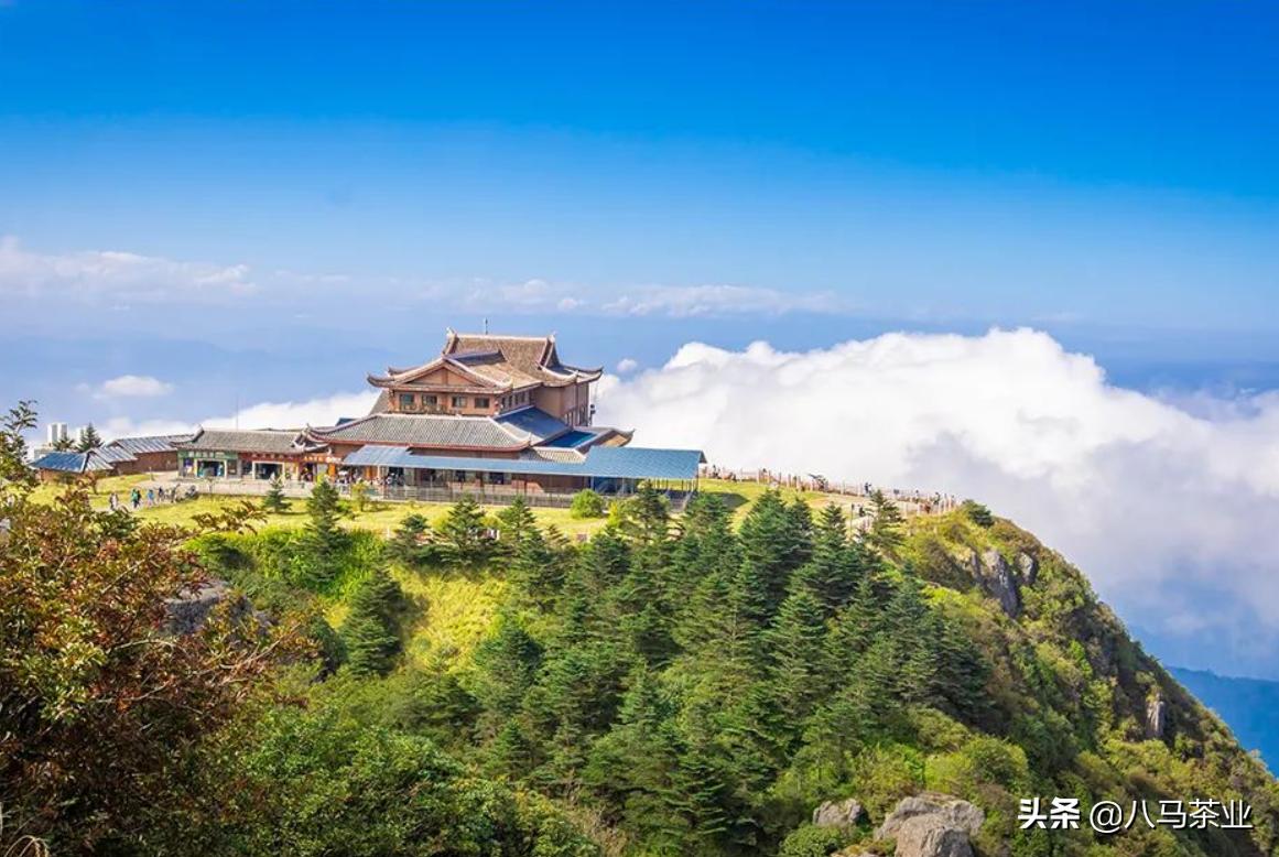 让生活过得去必须添点绿,要想生活过得去头上就得有点绿