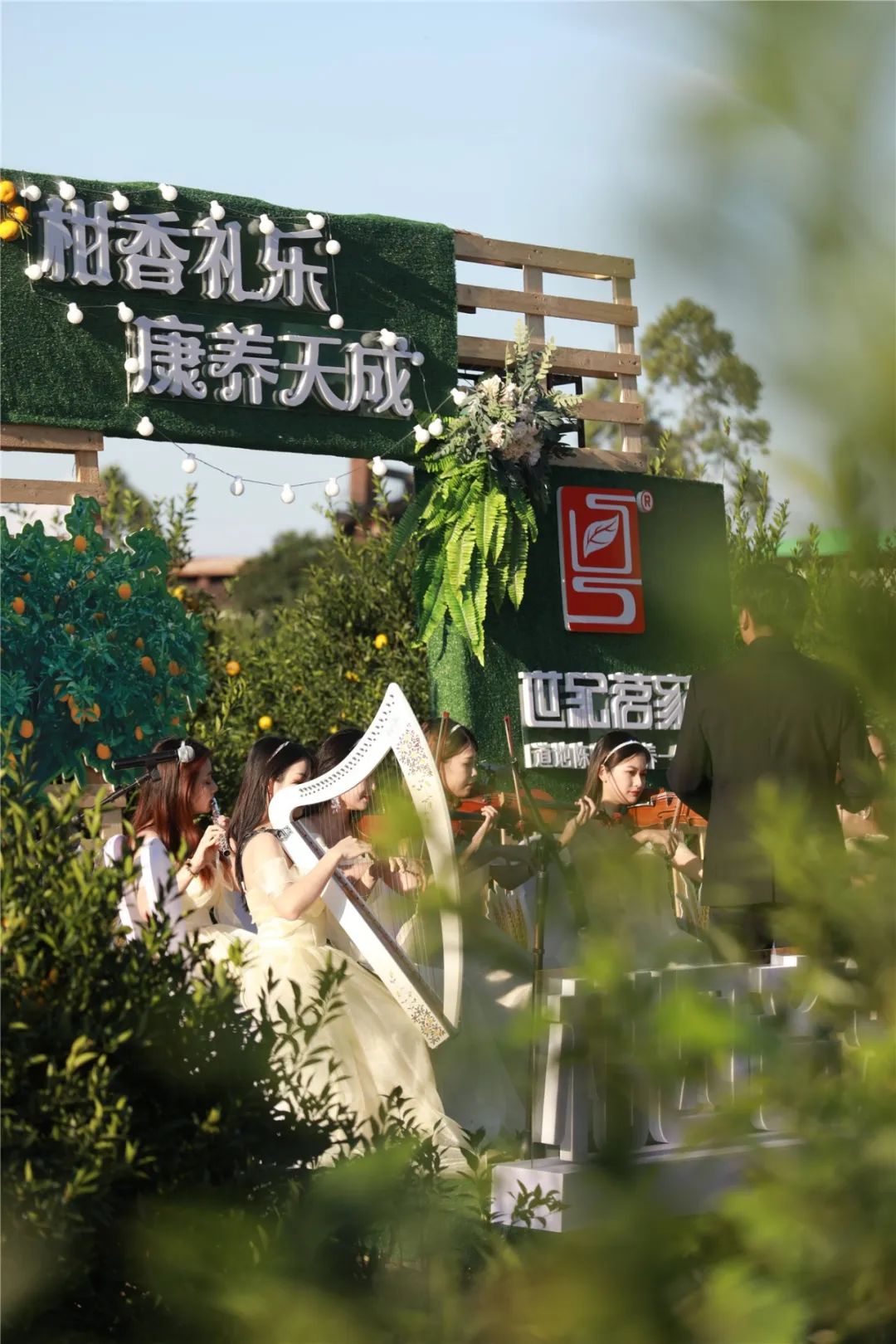 世纪茗家首届庆丰收线上柑园音乐会暨有机新品发布会圆满举办