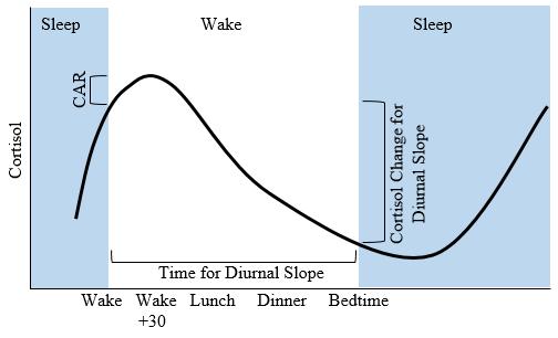 为什么孩子总是晚上发烧,为什么孩子总是在晚上发烧
