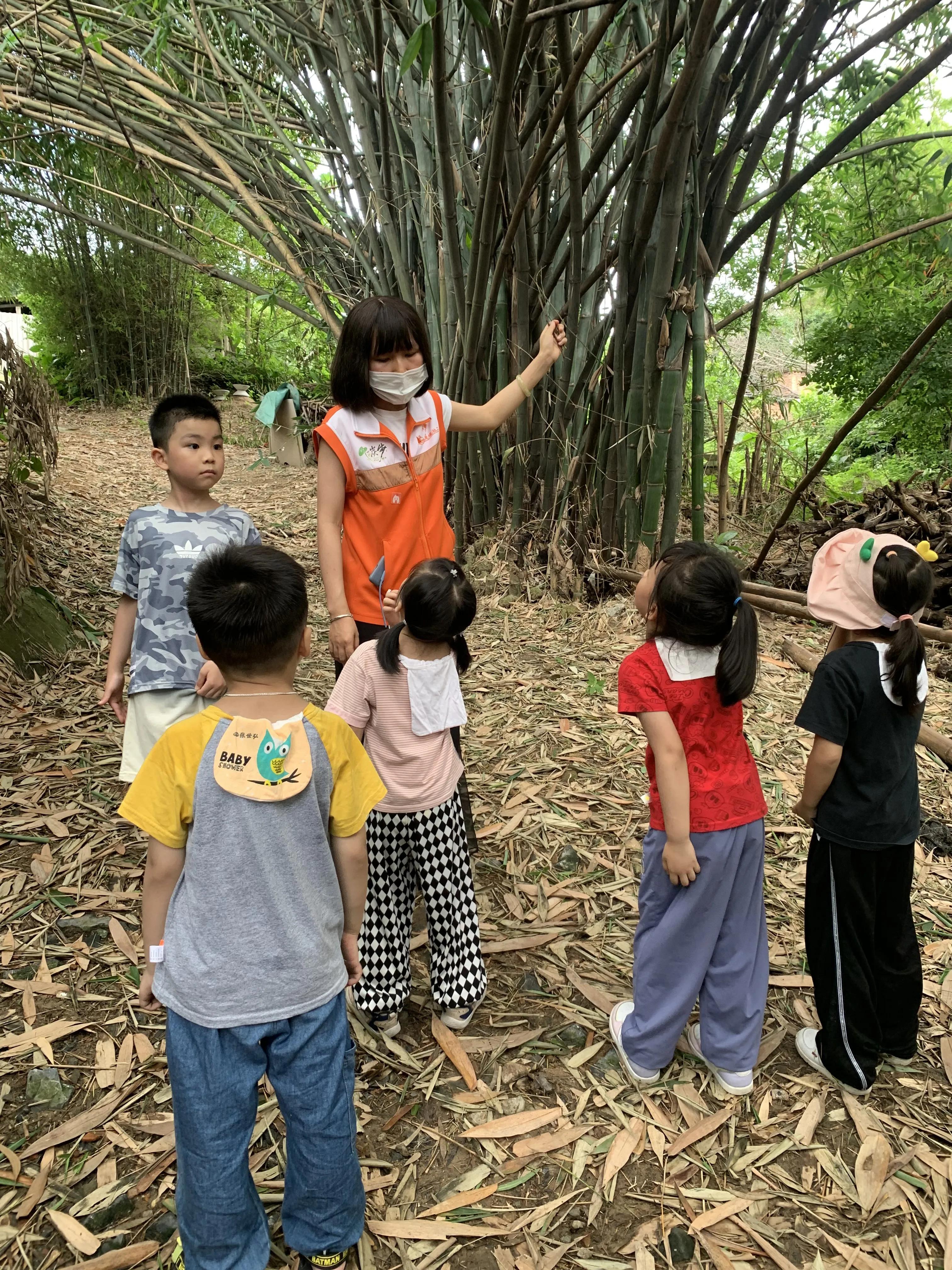 花都炭步：“竹”够有趣，炭步社工带您一起过“竹”瘾