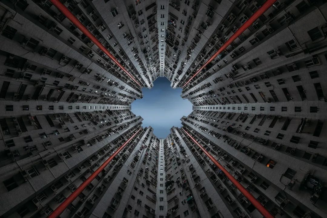 密集恐惧症一下被治好了,这位摄影师