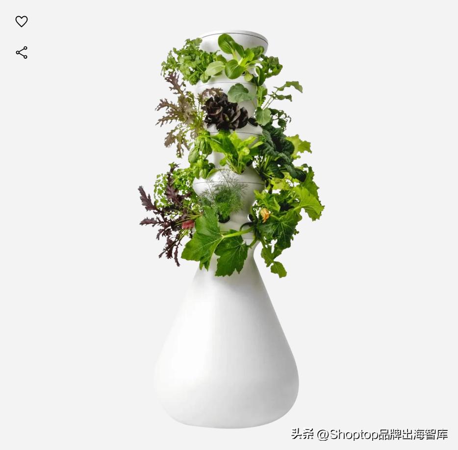 年终盘点：2022谷歌热搜商品榜Top100，全球人民都爱买什么？